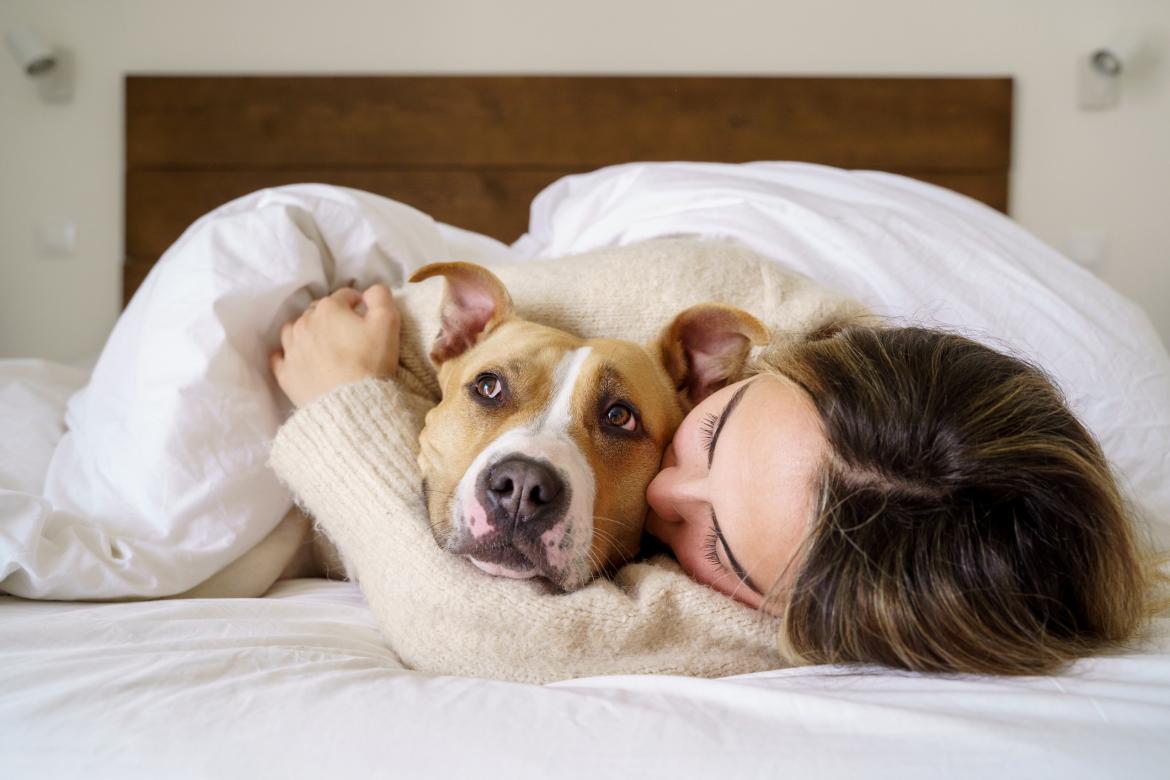 Retrato horizontal de una mujer caucásica rubia besando a su perro americano Stanford tumbado en una cama de lino. Estilos de vida de personas y animales.
