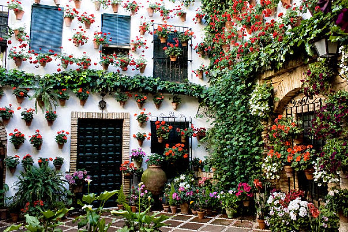 Cordoba. Courtyard