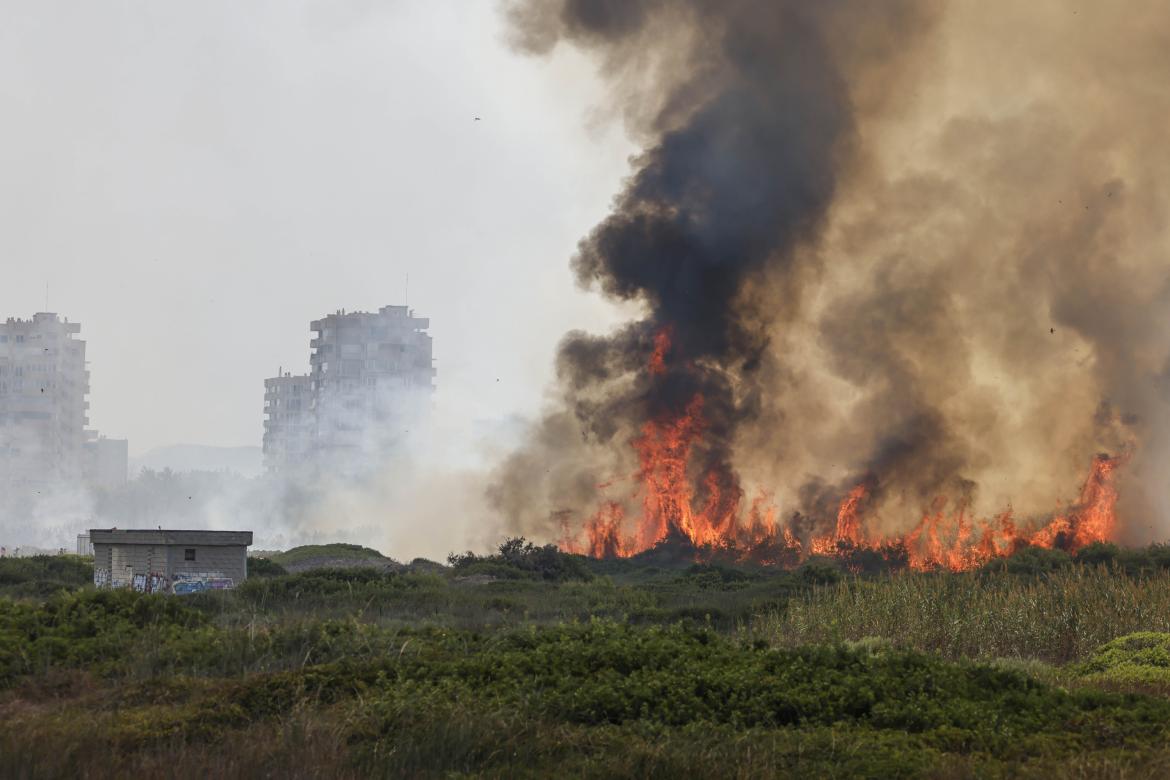 Incendio y columna de humo provocados por un incendio forestal el 27 de agosto de 2026 en la Gola de Pujol, El Saler, Valencia, Comunidad Valenciana, España.