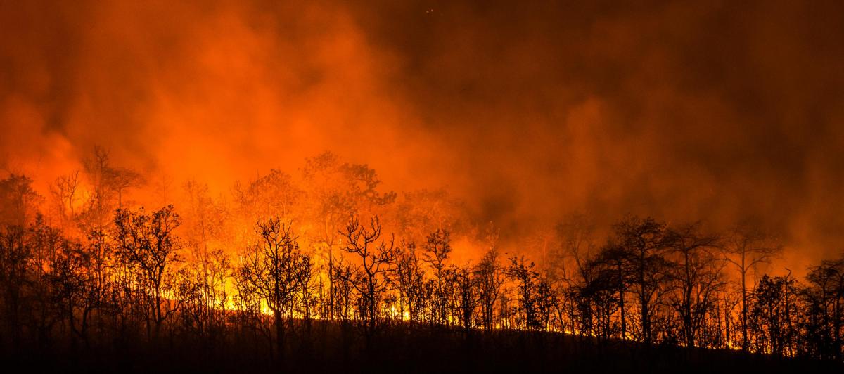 Imagen de archivo de un incendio forestal.