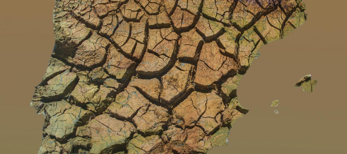 Imagen simbólica sobre la desertificación.