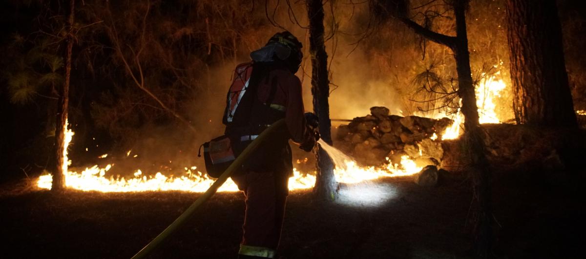 Miembros de la Unidad militar de emergencias (UME) trabajan en labores de extinción del incendio forestal de la isla de Tenerife