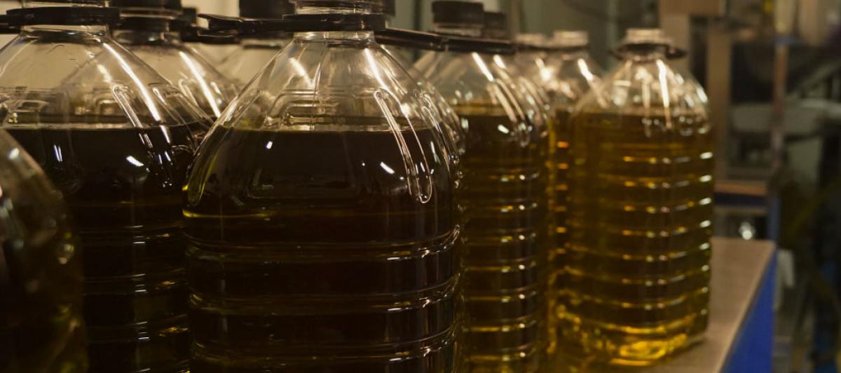 Garrafas de aceite de oliva en los almacenes de una productora en Andalucía.