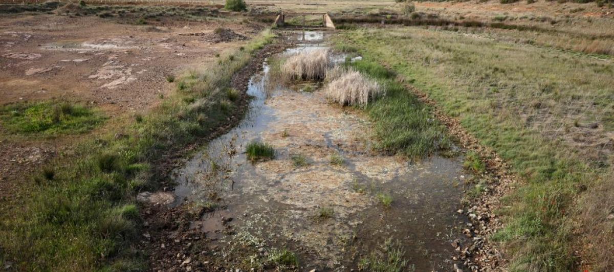 El río Becea, en Castilla-La Mancha, prácticamente seco por la falta de lluvia.