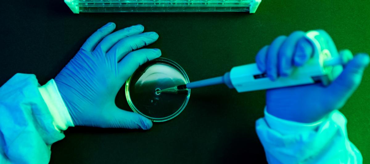Investigación científica contra el cáncer.