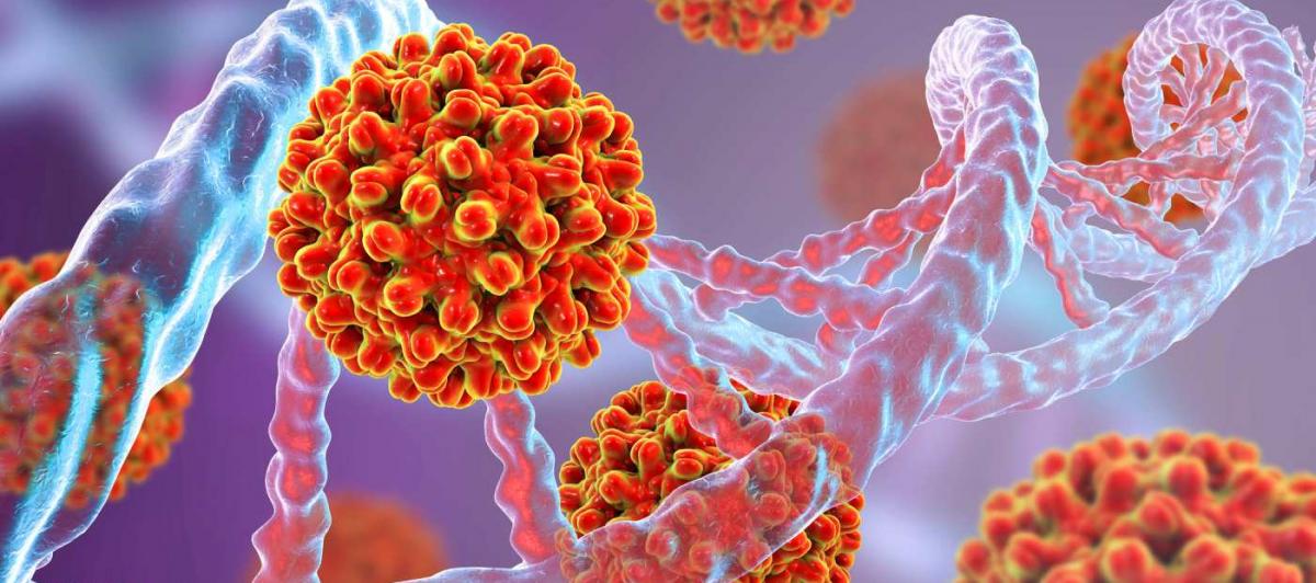 Ilustracion de la hepatitis B en una cadena de ADN