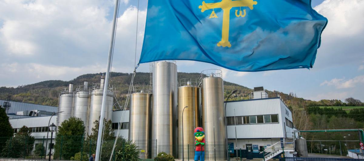 Una bandera asturiana ondea en la factoría de Danone en el concejo de Salas.