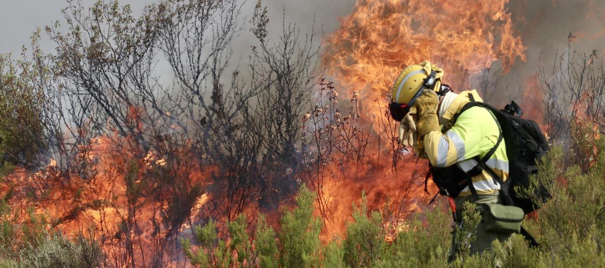 Un brigadista ante una lengua de fuego procedente del Incendio forestal que afecta a Puercas (Zamora), en la Sierra de la Culebra, este martes.