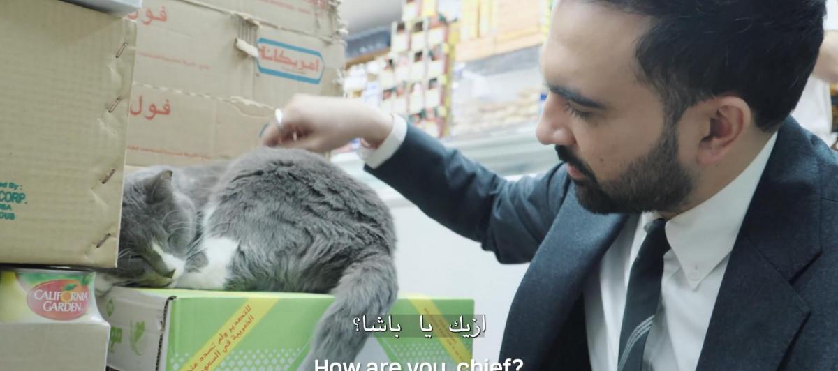 Zohran Mamdani acaricia a un gato en una tienda 24/7 de Nueva York.