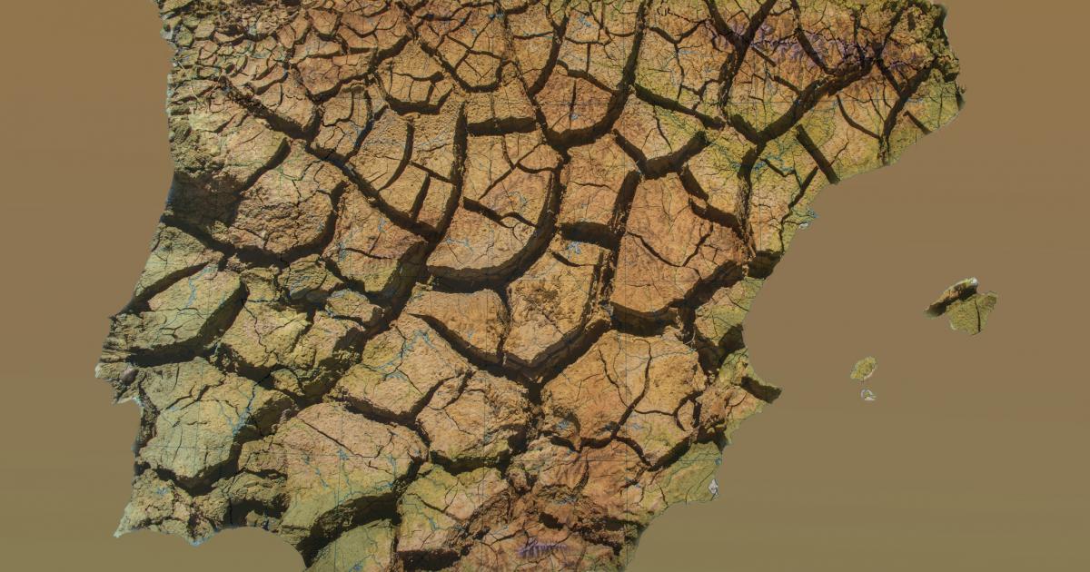 Imagen simbólica sobre la desertificación.