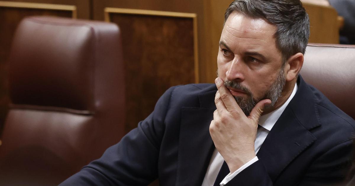 El líder de Vox, Santiago Abascal.