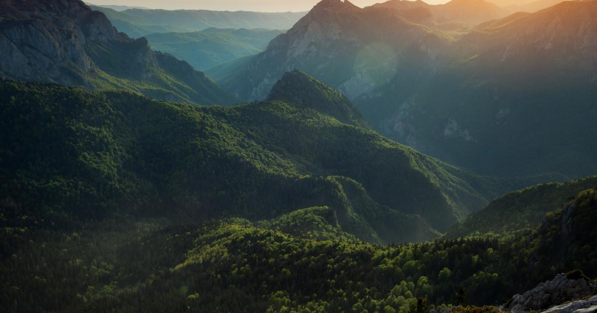 Imagen de archivo de Perucica.