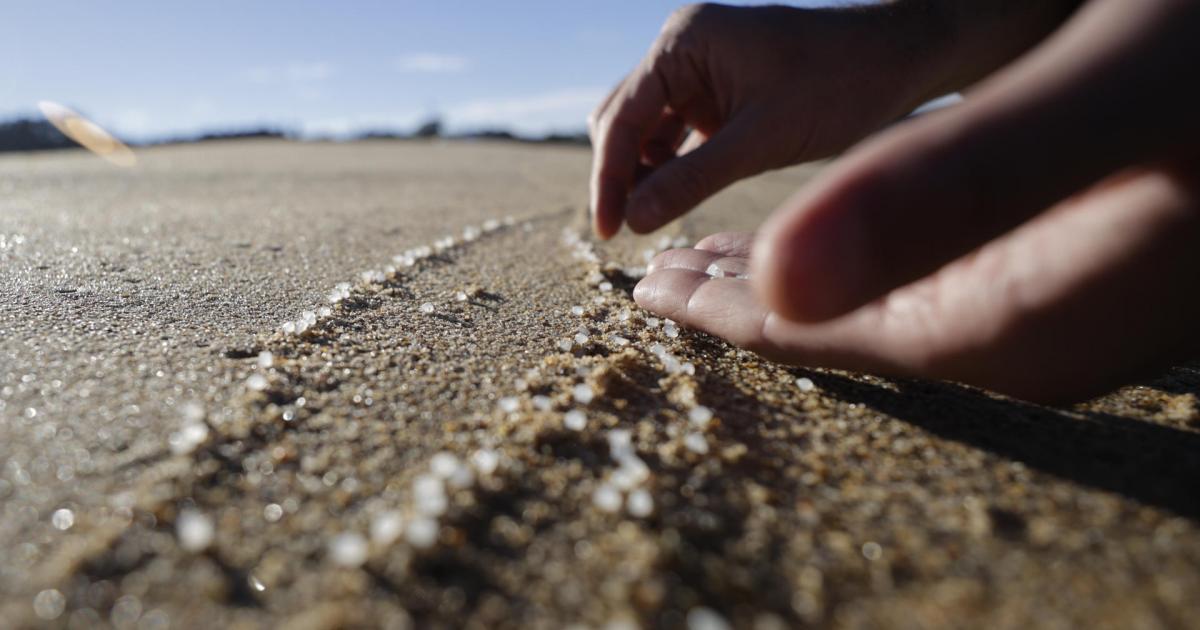 Una persona recogiendo 'pellets' de microplástico.