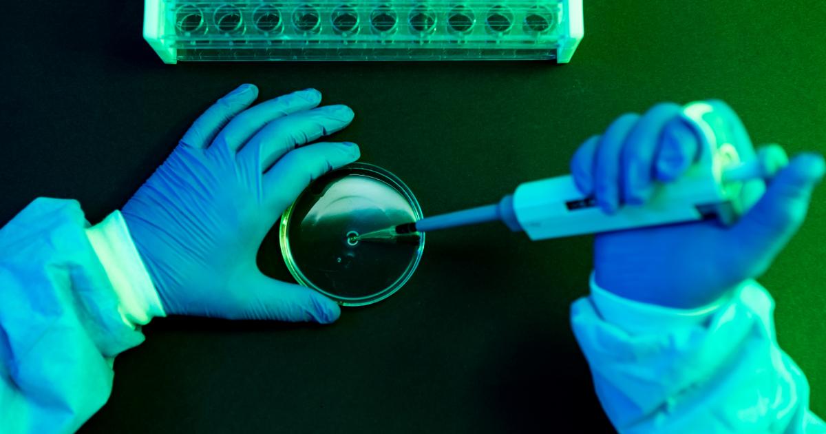 Investigación científica contra el cáncer.