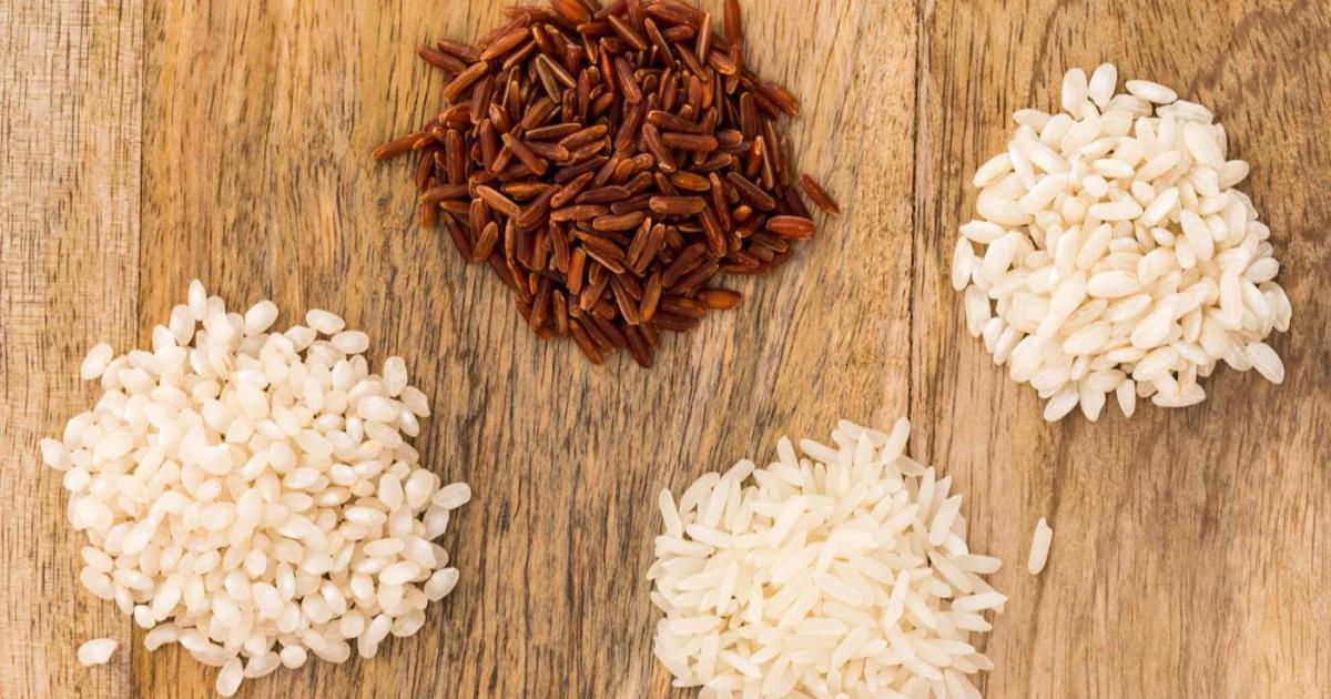 Diferentes tipos de arroz
