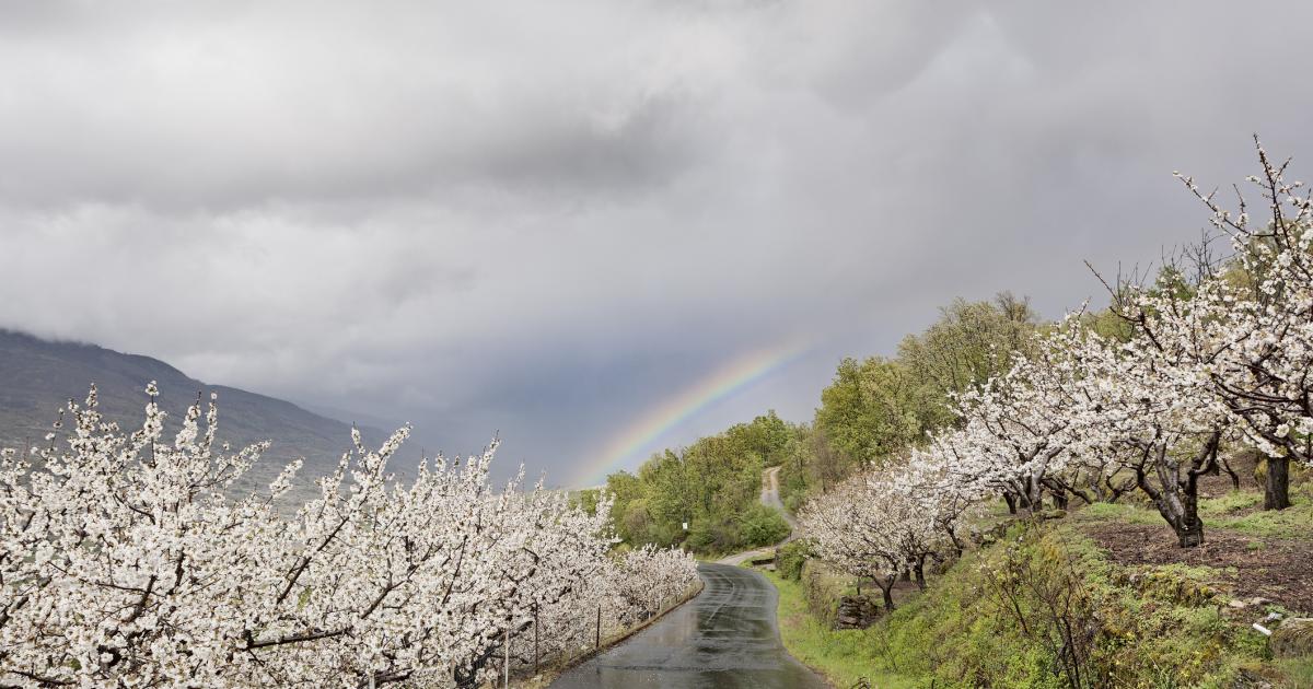 Imagen de archivo del Valle del Jerte.