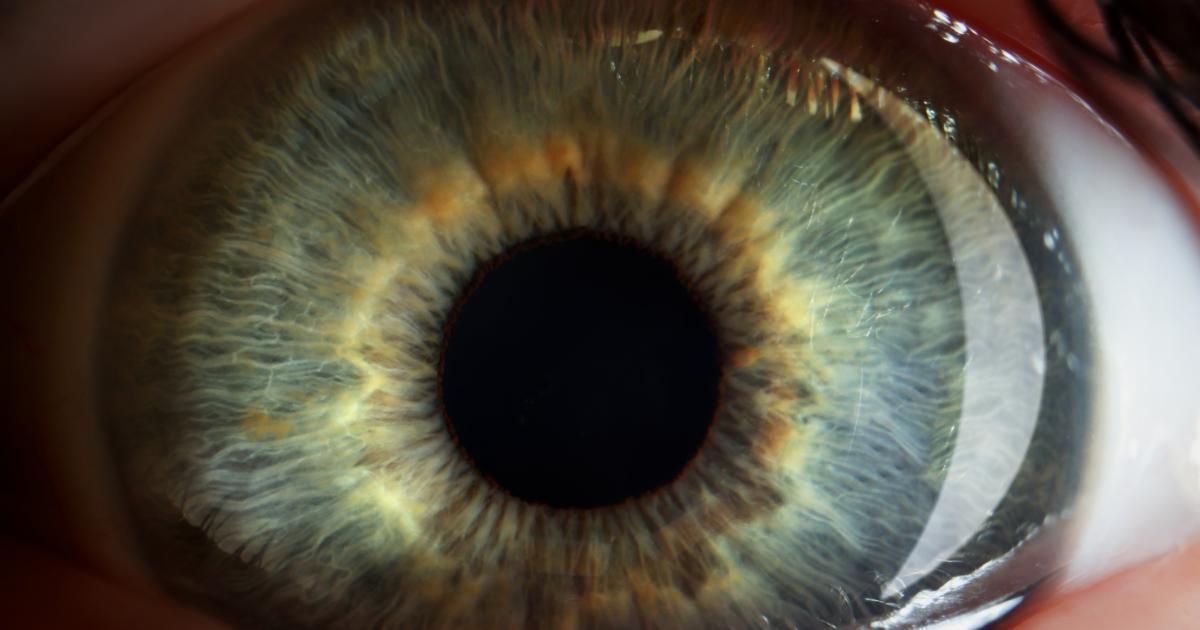 Fotografìa de archivo del iris de una persona.