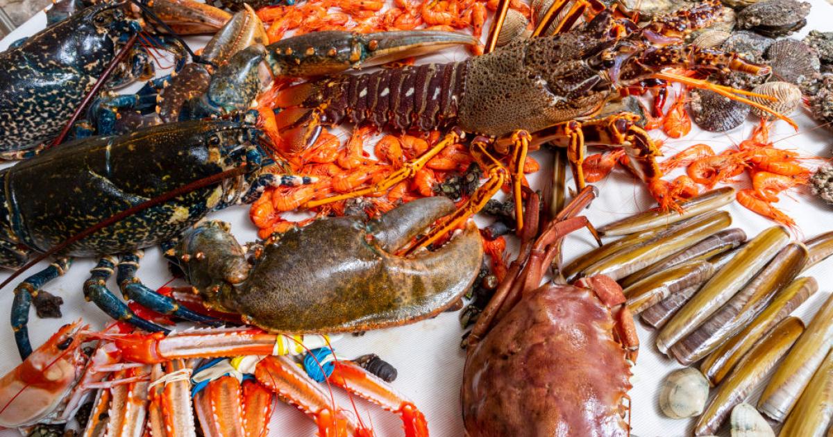 Varios de los mariscos protagonistas de la Festa do Marisco de O Grove.