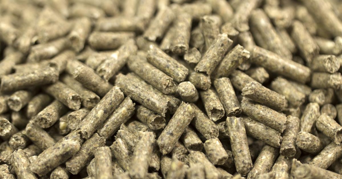 Pellets de madera almacenados en una imagen de archivo.