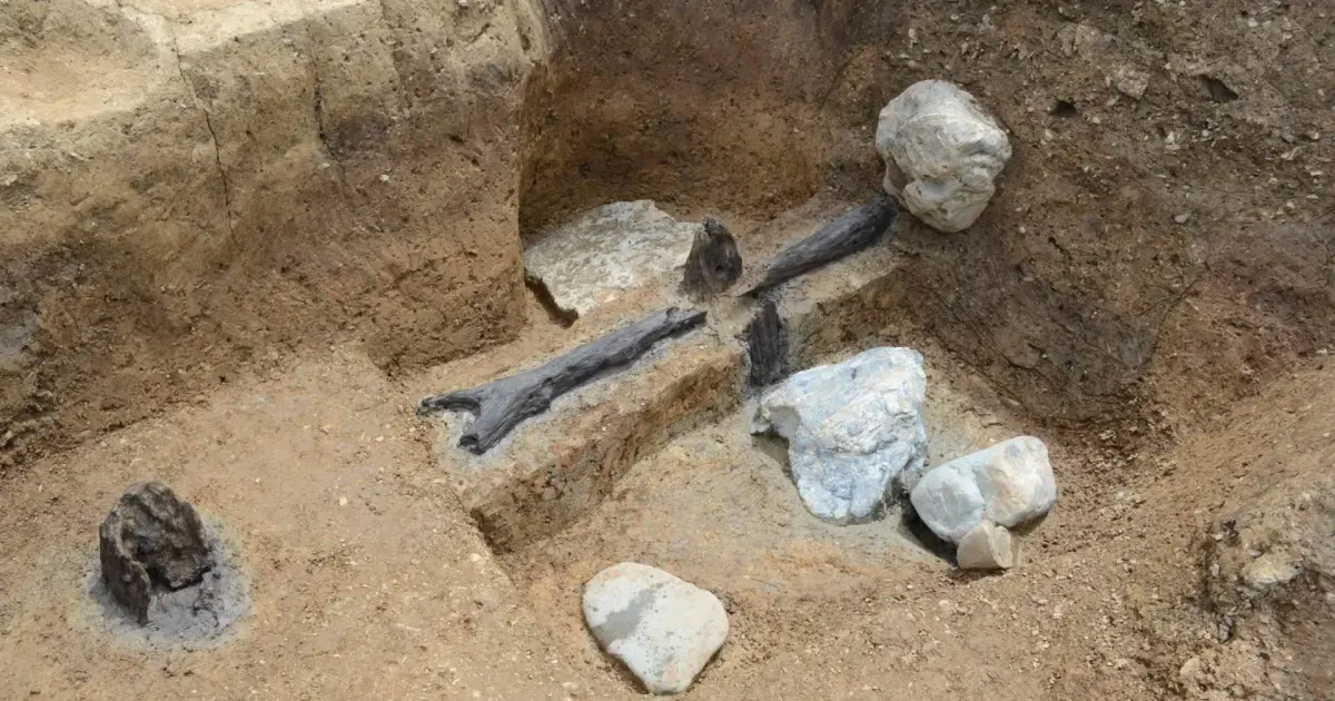 Los restos localizados en el yacimiento japonés.