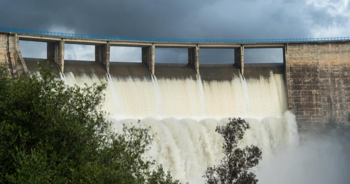 Imágenes del desembalse del Gergal, en Guillena (Sevilla), a 23 de enero de 2025