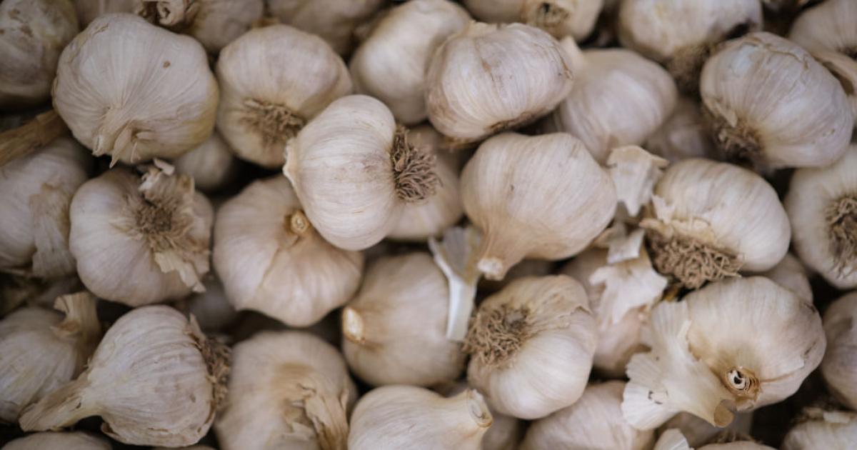 Se desploman las ventas de ajo pelado español ante la entrada masiva de producto chino