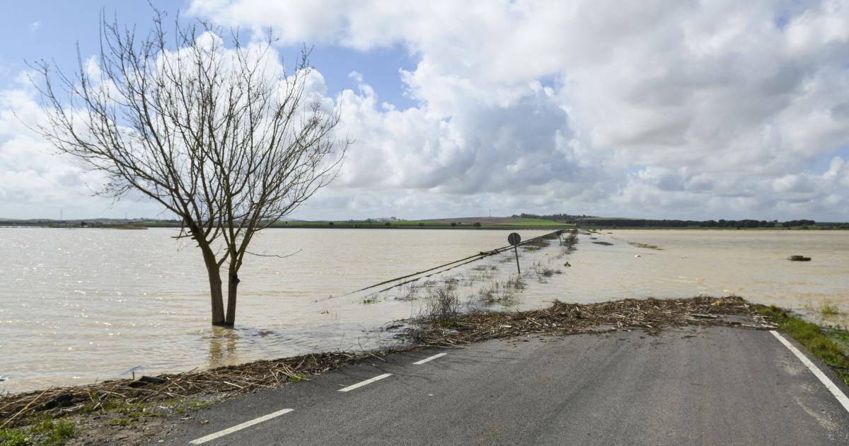 Un punto de la SE-9021 que ha tenido que ser cortada a causa de las inundaciones. Esta carretera se cruza con la AP-4 en el tramo en el que la autopista ha sido cortada y pasa cerca de la línea ferroviaria Madrid-Cádiz.