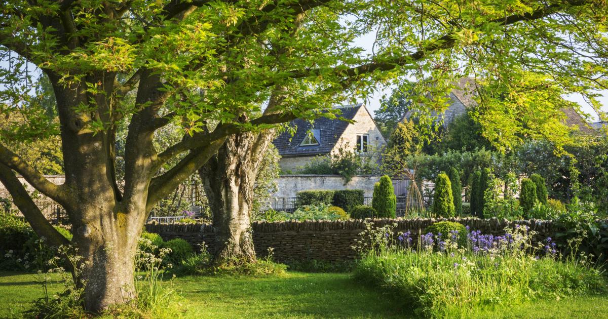 Árboles en un jardín.