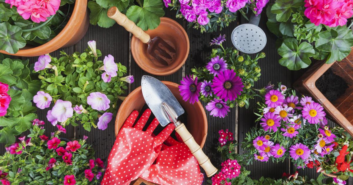 Flores, en una imagen de archivo