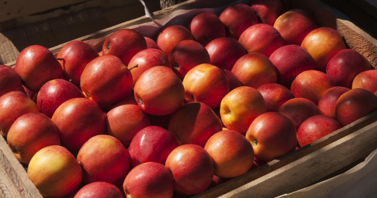 Imagen de archivo de una caja de fruta.
