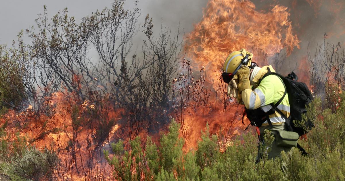Un brigadista ante una lengua de fuego procedente del Incendio forestal que afecta a Puercas (Zamora), en la Sierra de la Culebra, este martes.