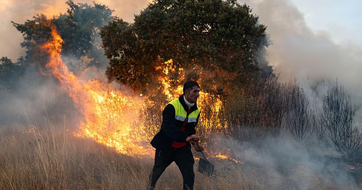 Un persona participa en las labores de extinción de un incendio en Abejera, Zamora.