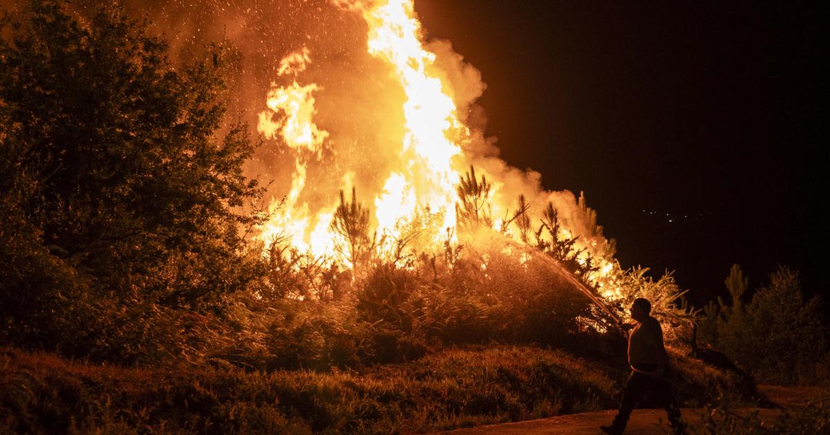 Incendio forestal en Carballeda de Avia (Ourense).