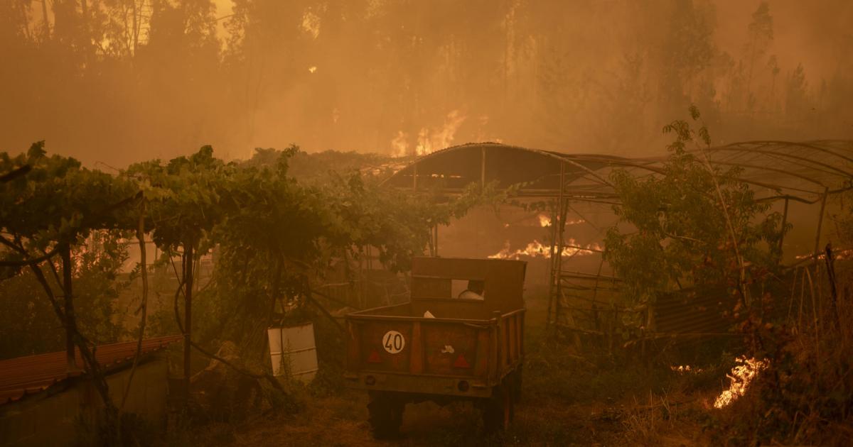 CARBALLEDA DE AVIA (OURENSE), 17/08/2025.- Vista del incendio forestal de Carballeda de Avia (Ourense) este domingo.