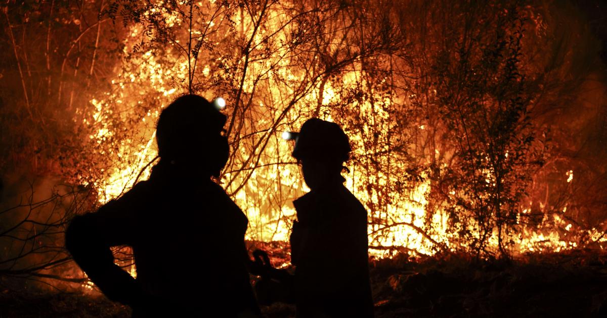 Bomberos forestales antes las grandes llamas del incendio en Aguasmestas, una parroquia del municipio de Quiroga, en la provincia de Lugo.