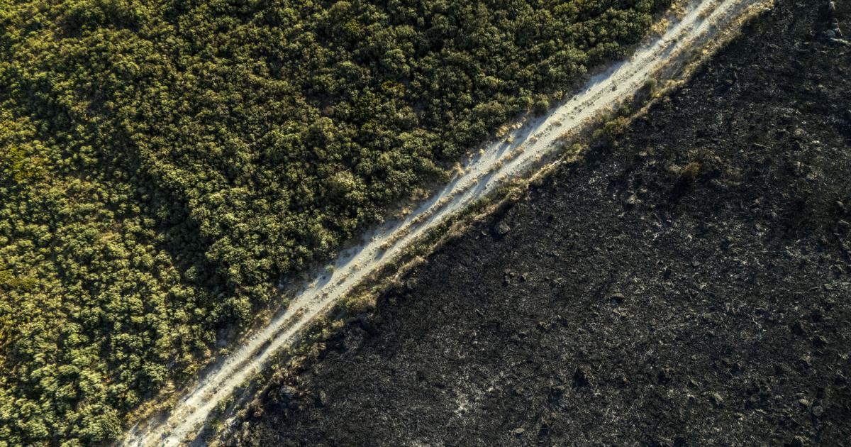 Vista aérea de la superficie calcinada por el incendio forestal en A Mezquita (Ourense), que quemó más de 10.000 hectáreas.
