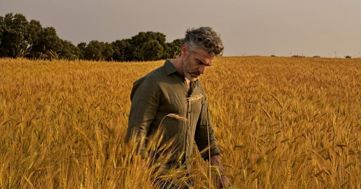 Leonardo Sbaraglia en el cartel promocional de 'Los días perfectos'.