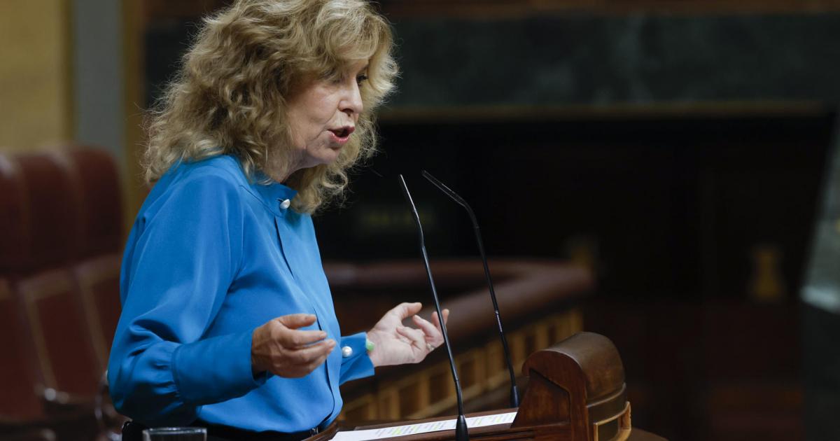 Rocío Aguirre, diputada de Vox