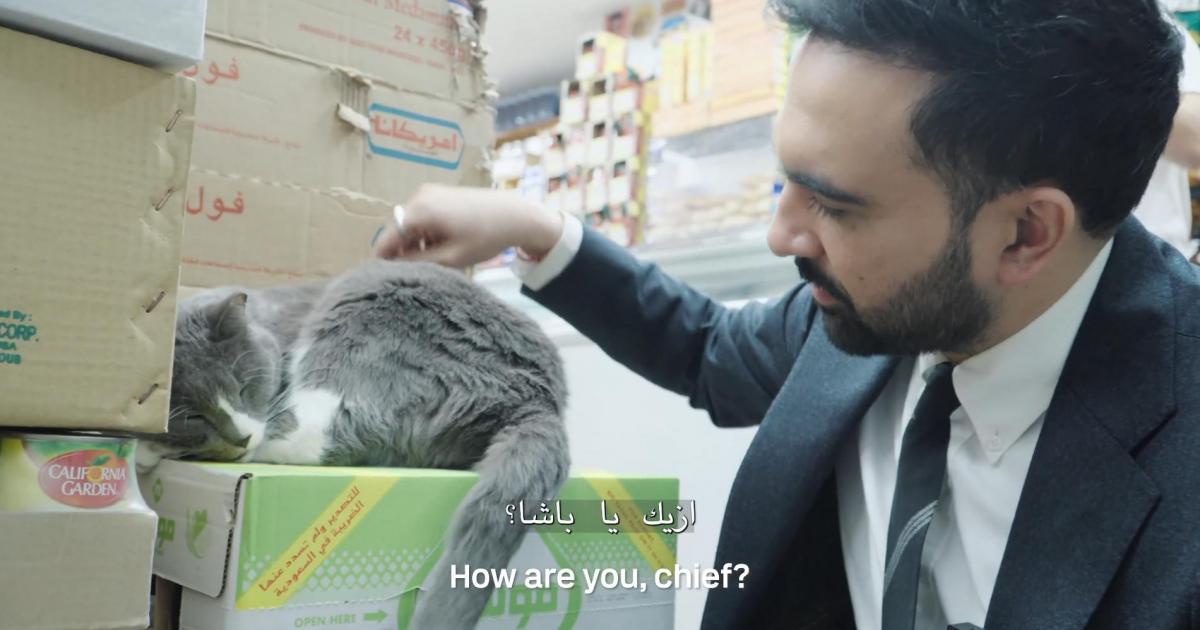 Zohran Mamdani acaricia a un gato en una tienda 24/7 de Nueva York.