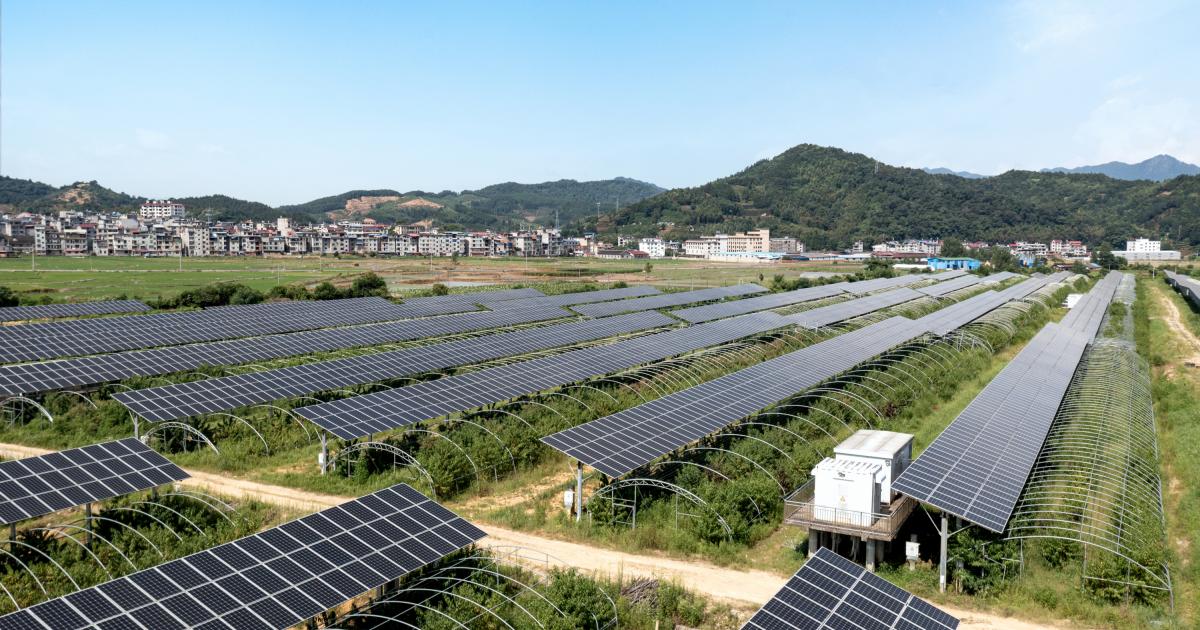 Vista aérea de una planta de energía solar en una granja.
