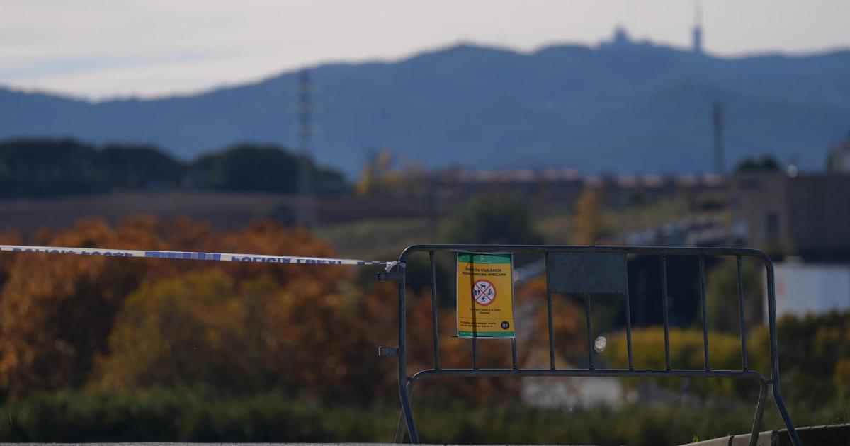 Valla para cortar el paso a las zonas restringidas por la cuarentena ante la peste porcina africana