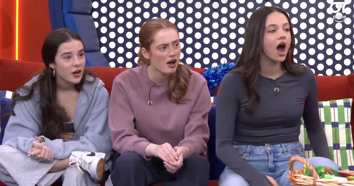 Concursantes de OT se enteran de que España no irá a Eurovisión