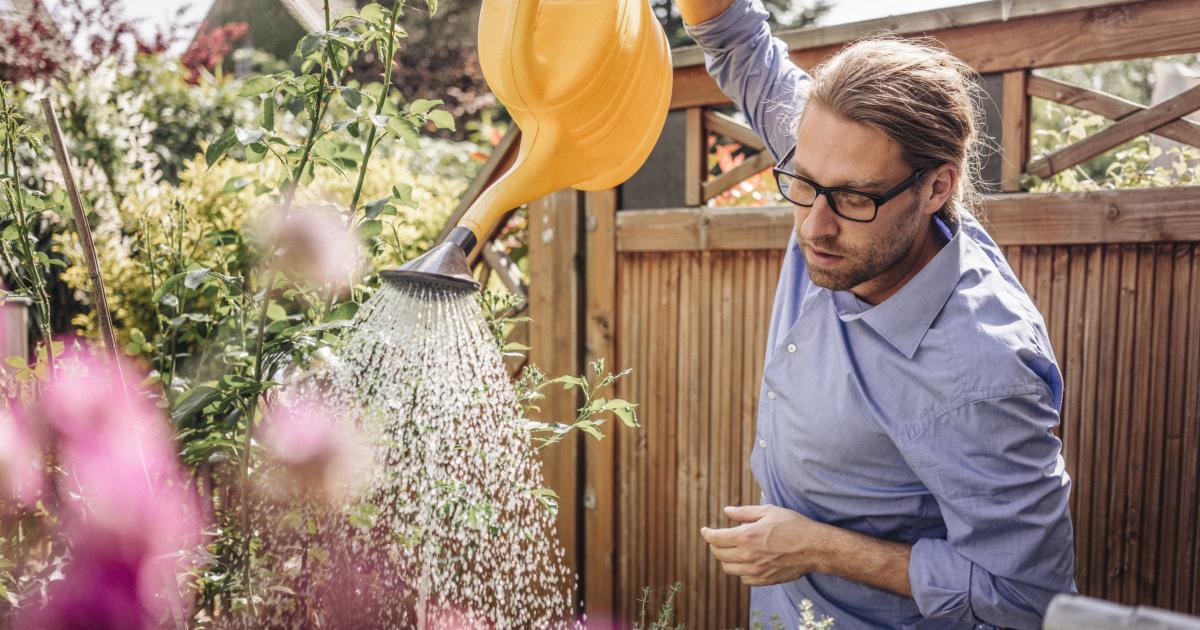 Un hombre regando sus plantas, en una imagen de archivo.