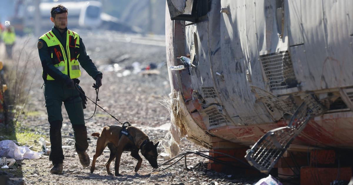 Un agente de la Guardia Civil rastrea con un perro los vagones siniestrados del accidente ferroviario en Adamuz (Córdoba).