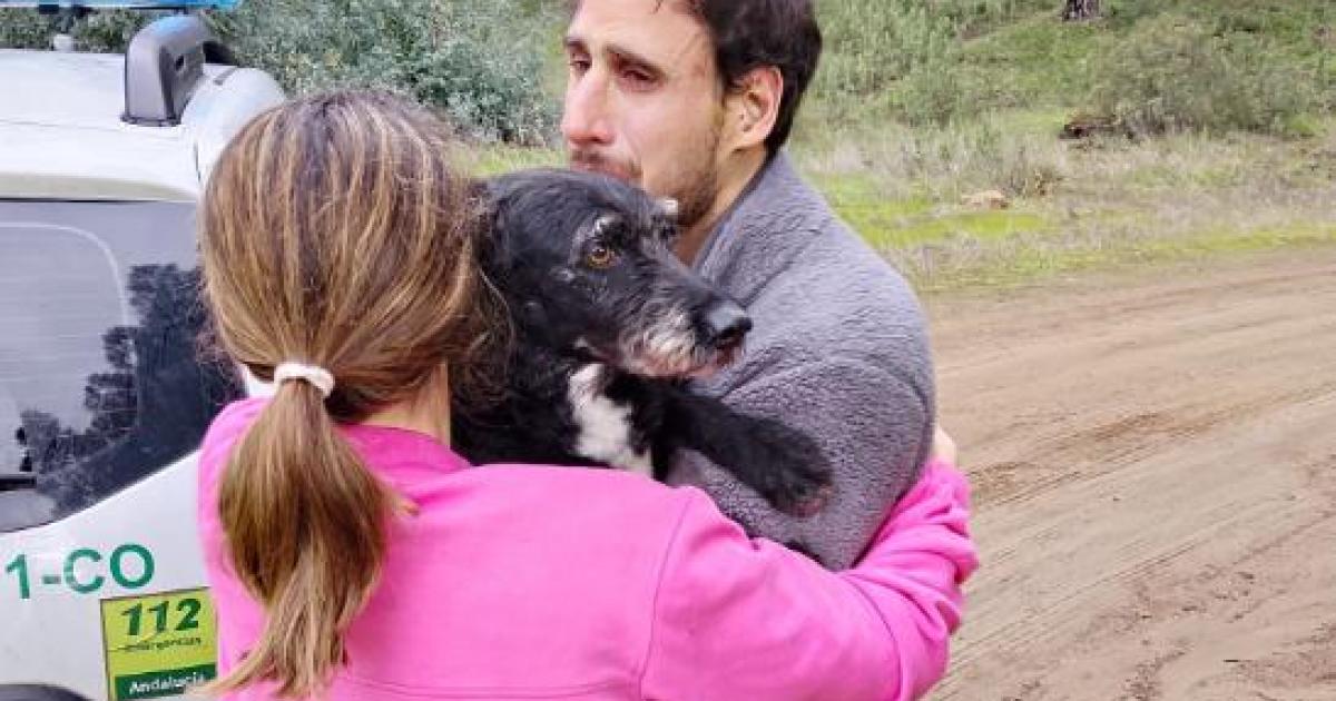 Rescate del perro Boro.