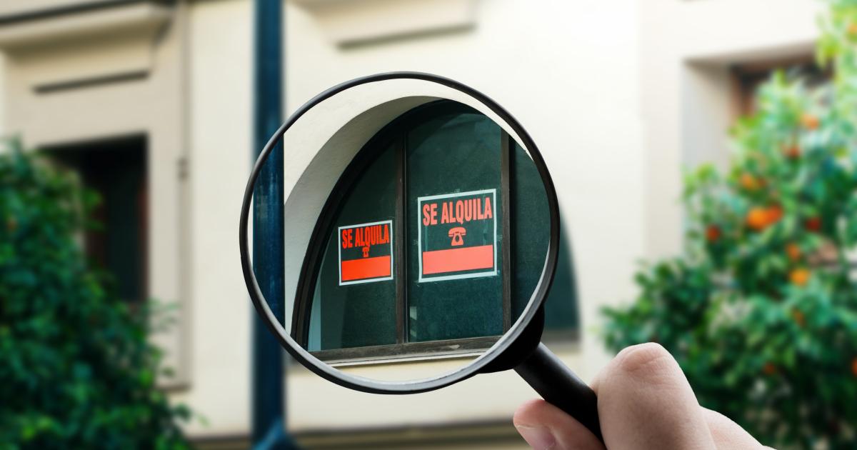 Carteles de 'Se alquila' en Madrid, bajo lupa.