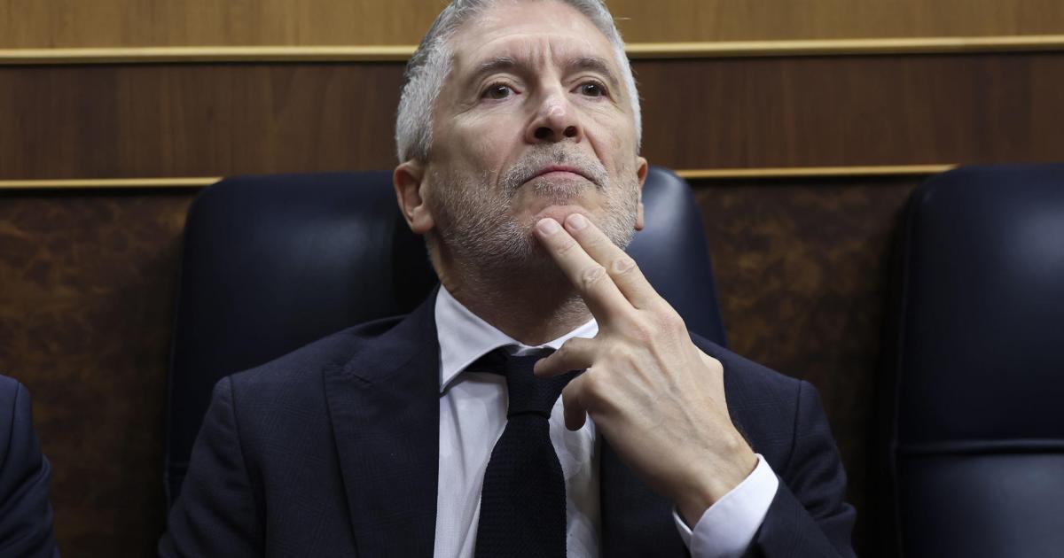 El ministro del Interior, Fernando Grande Marlaska