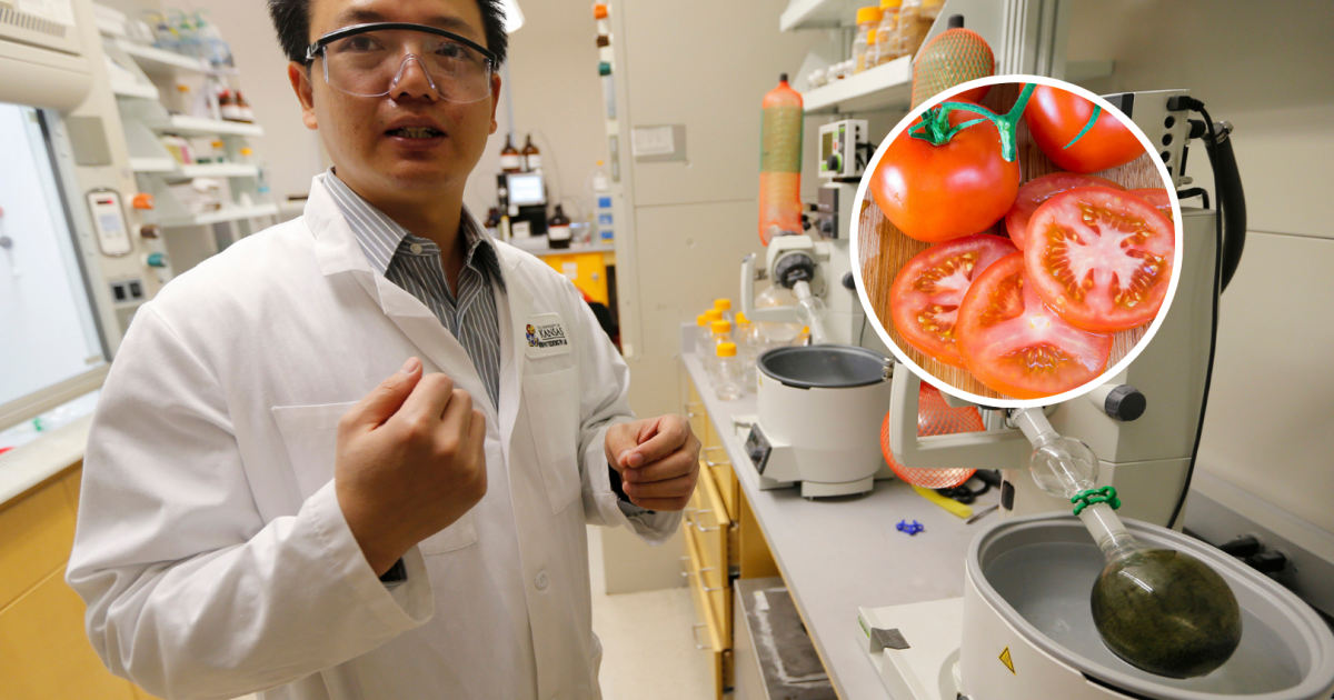 tomate-sabor-palomitas-china