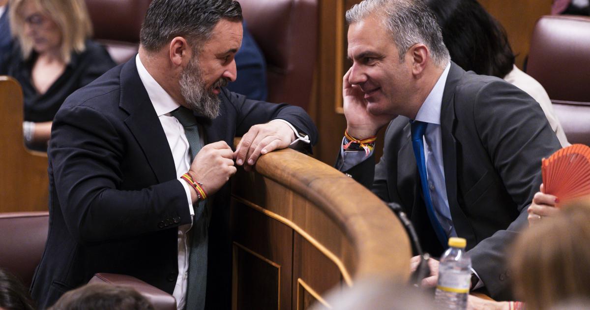 Imagen de archivo de 2024 del presidente de Vox, Santiago Abascal, y el ya expulsado Javier Ortega-Smith; en el Congreso.