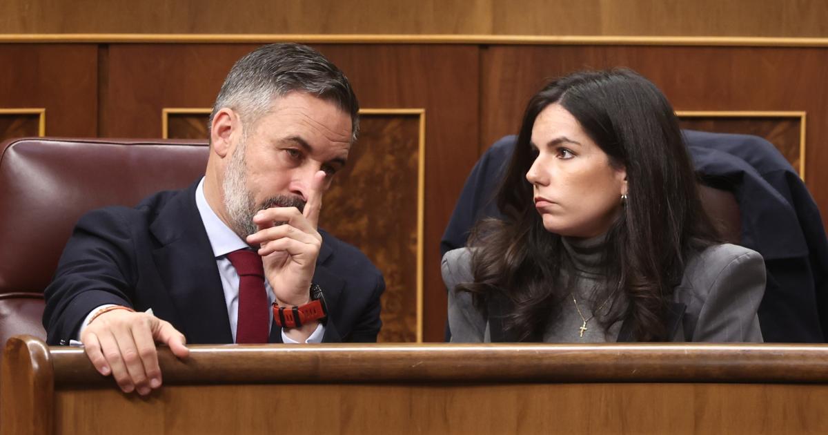El presidente de Vox, Santiago Abascal, y la portavoz parlamentaria de la formación en el Congreso, Pepa Millán; en una imagen de archivo.